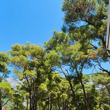 公寓 Luxury 'on The Beach' *