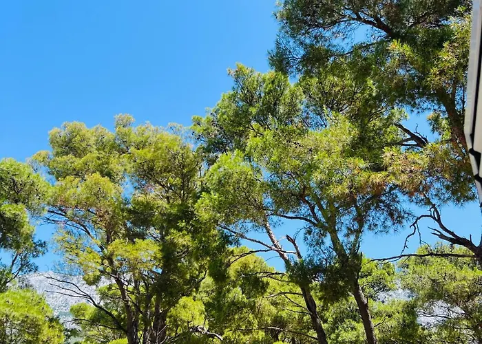 Lejlighed Luxury 'on The Beach' *